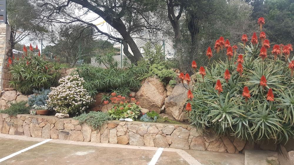 Corsica Hostel Porto-Vecchio, Partie Dortoirs Екстериор снимка