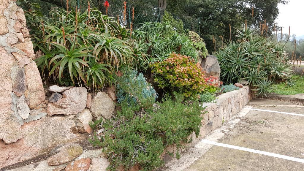 Corsica Hostel Porto-Vecchio, Partie Dortoirs Екстериор снимка